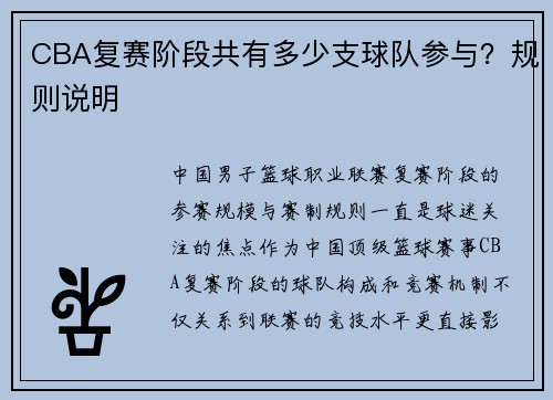 CBA复赛阶段共有多少支球队参与？规则说明